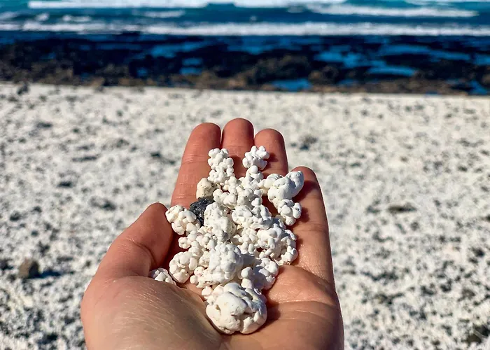 Lejlighed Casa Del Mar Beachfront With Pool & Ocean Views