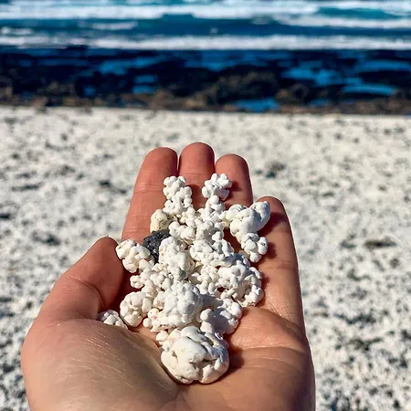 Lägenhet Casa Del Mar Beachfront With Pool & Ocean Views